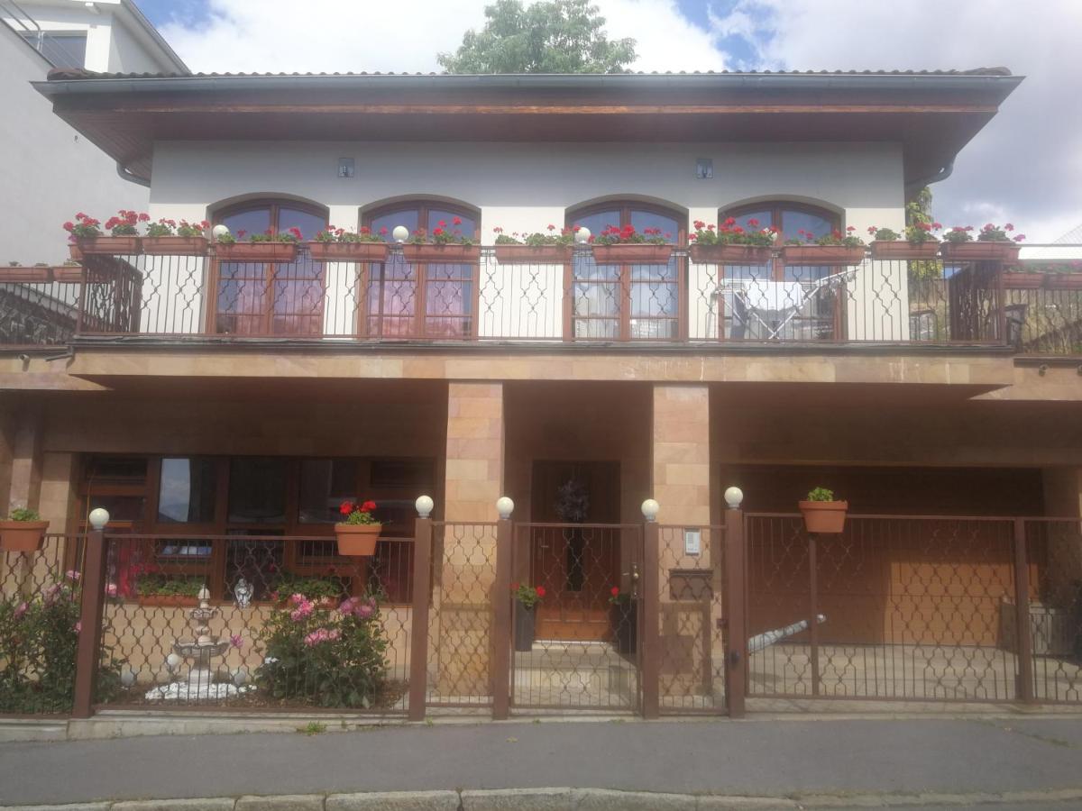 Vila Barrandov Прага Экстерьер фото